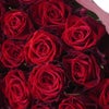 赤いバラ108本の花束
