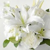 【お急ぎ・枕花】アレンジメントSサイズ（ご供花）