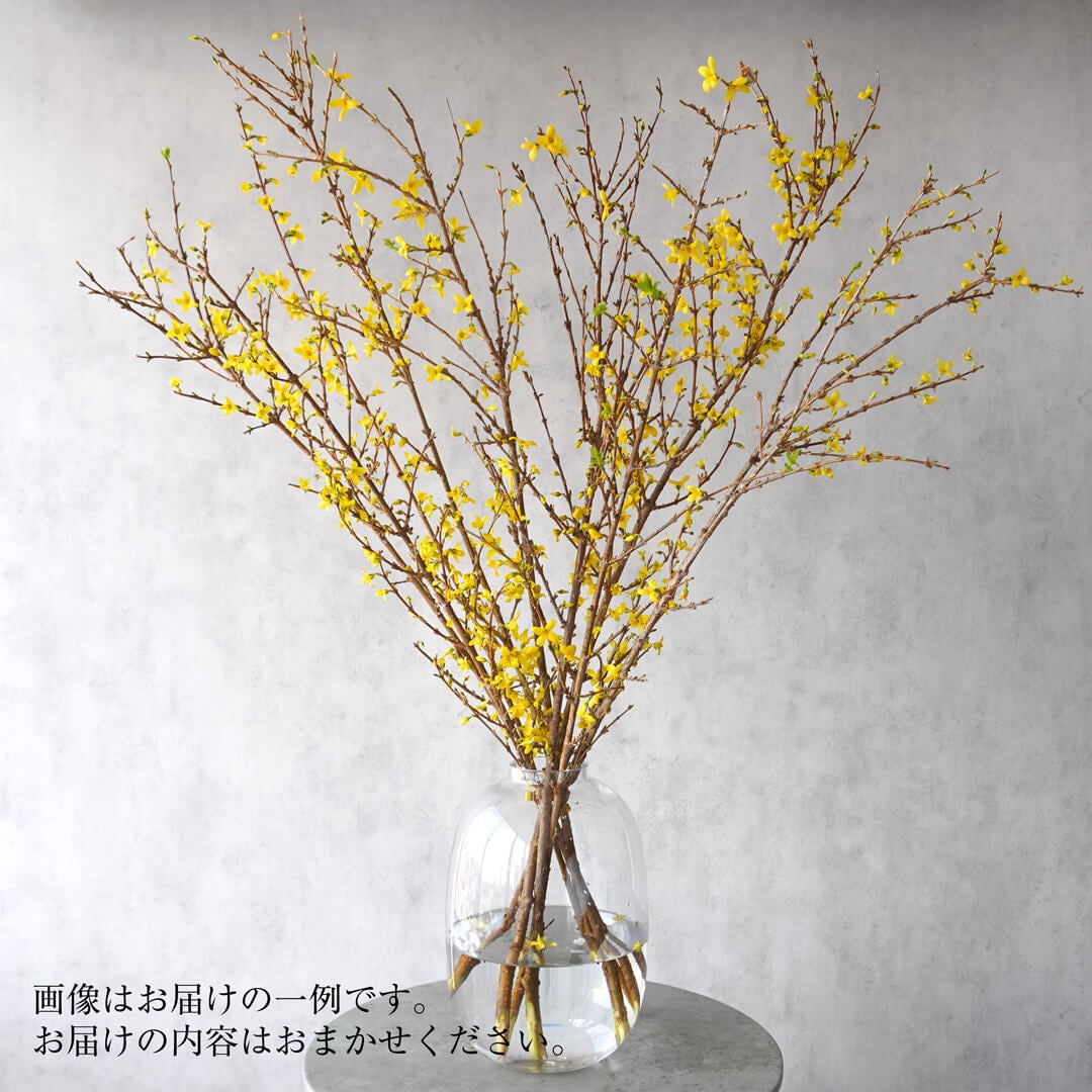 枝ものに最適】丸みを帯びたガラス花瓶｜青山花茂本店