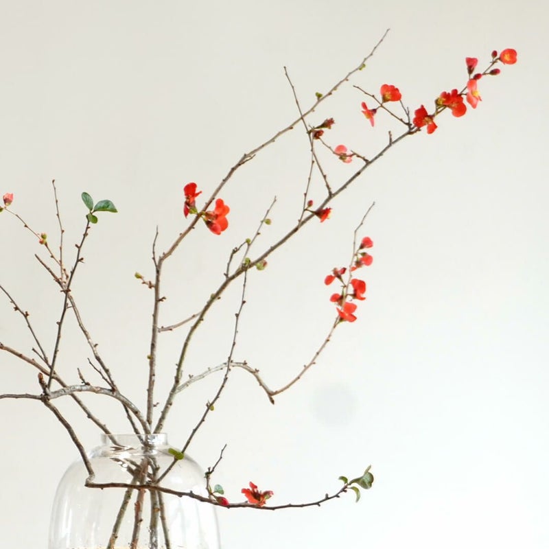 季節の枝もの定期便