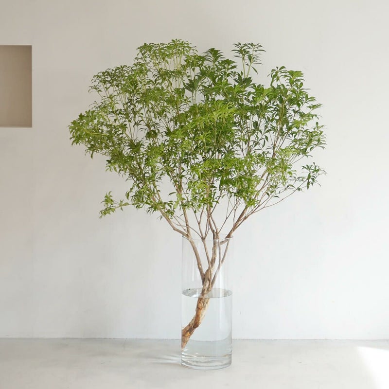 枝もの用のシリンダー型ガラス花瓶