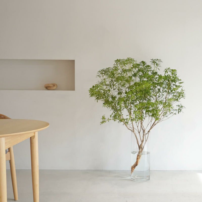 枝もの用のシリンダー型ガラス花瓶