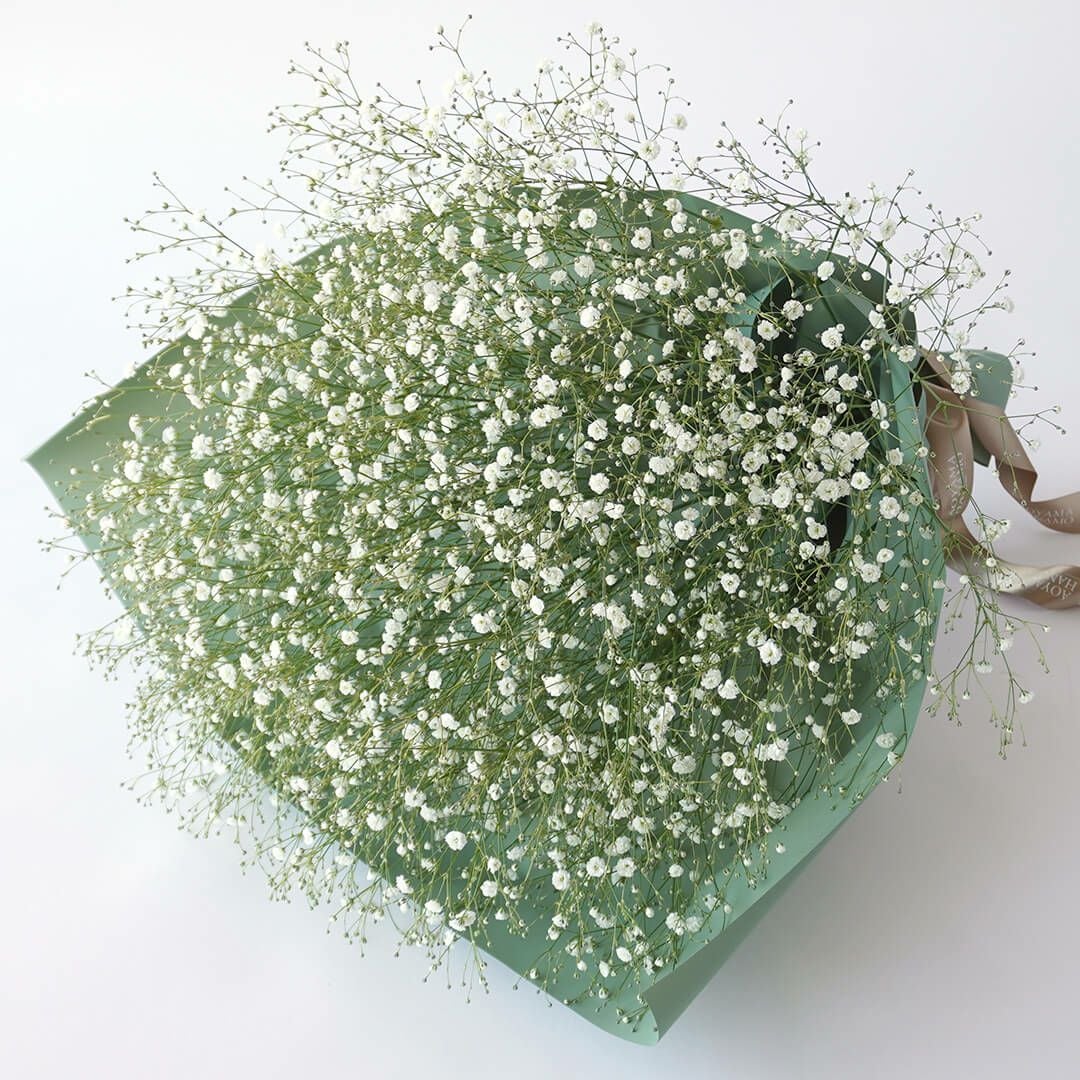 本数が選べる白いカスミソウの花束