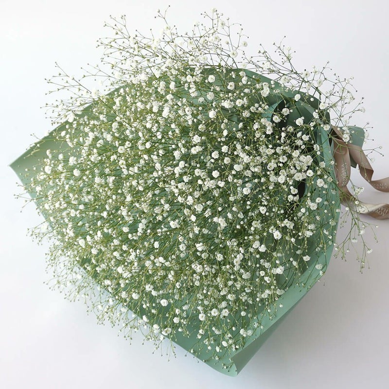 本数が選べる白いカスミソウの花束