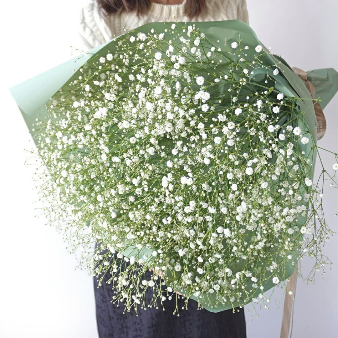 本数が選べる白いカスミソウの花束