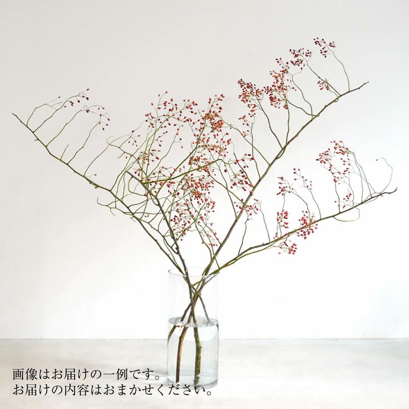 季節の枝もの定期便