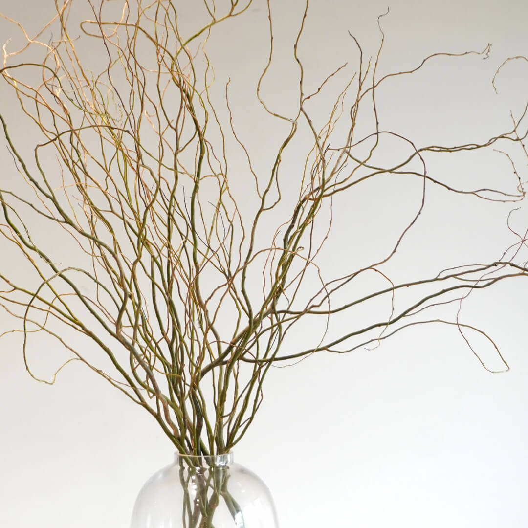 季節の枝もの定期便