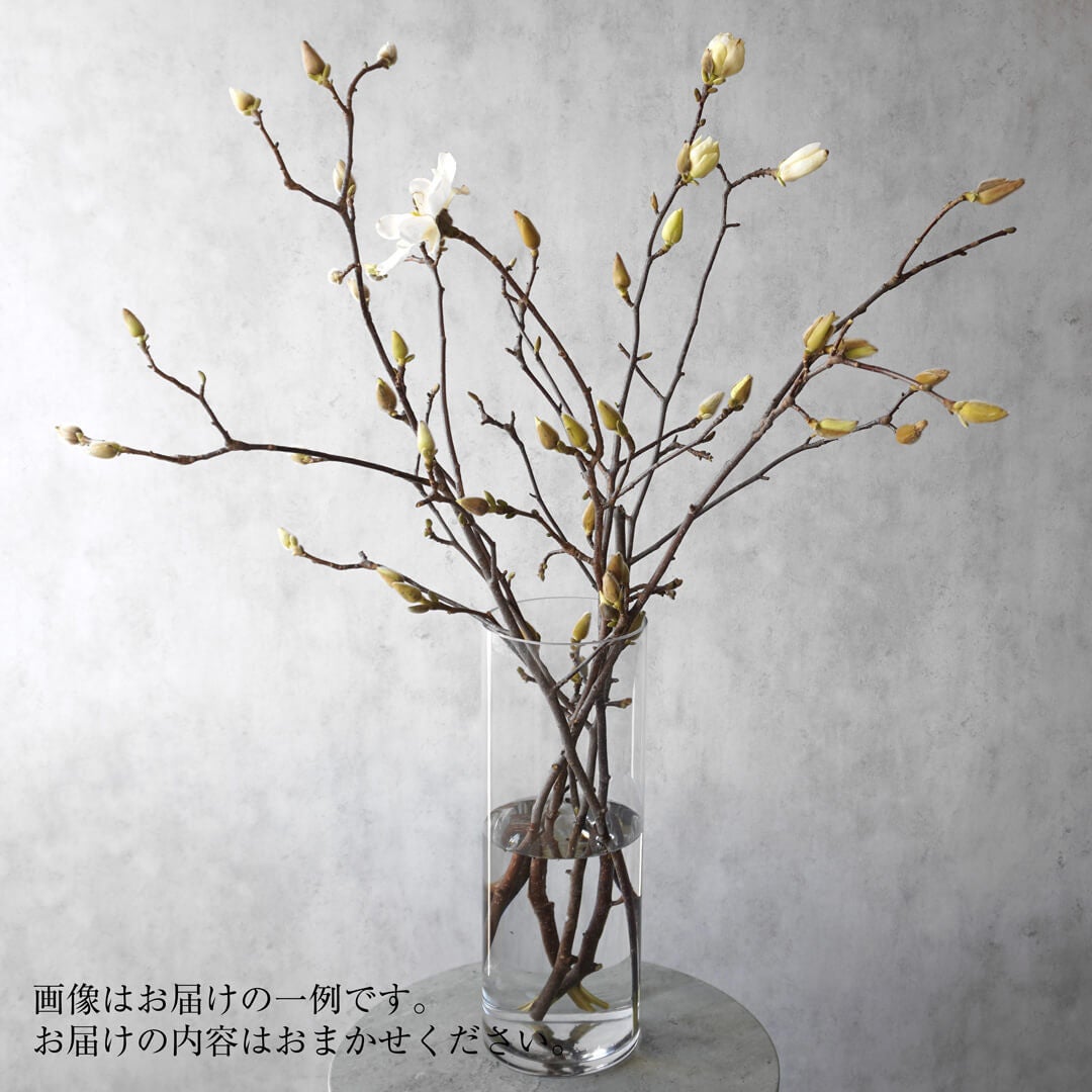 季節の枝もの定期便