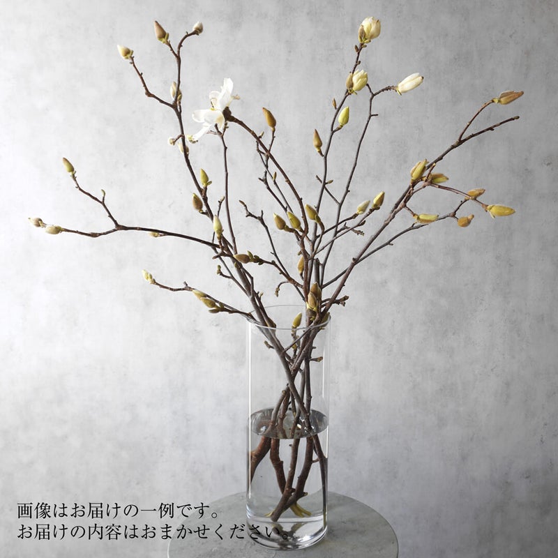 季節の枝もの定期便