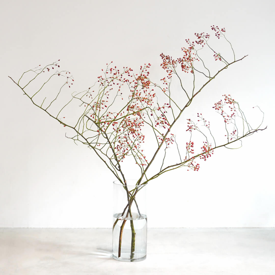 季節の枝もの定期便