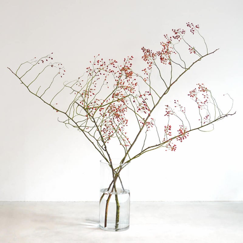 季節の枝もの定期便