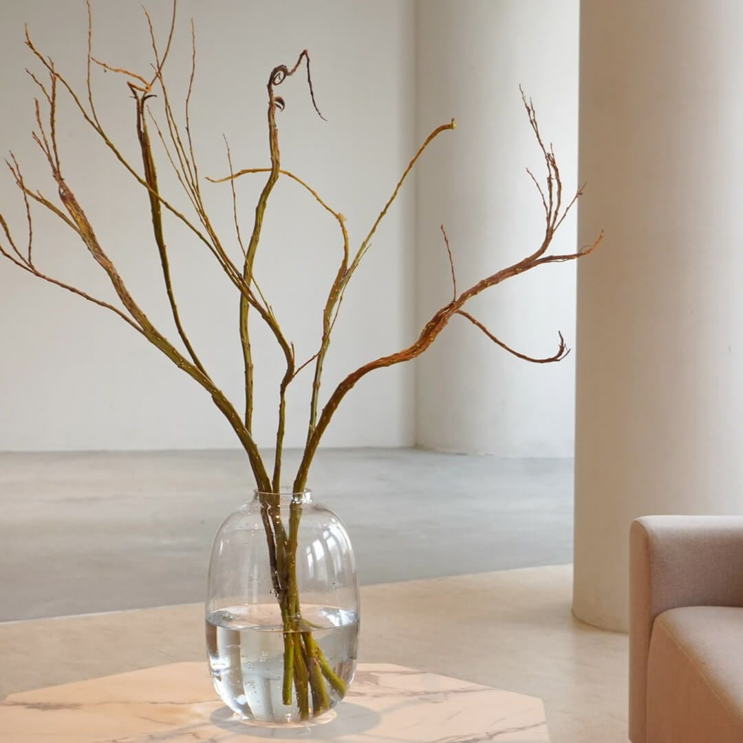 季節の枝もの定期便