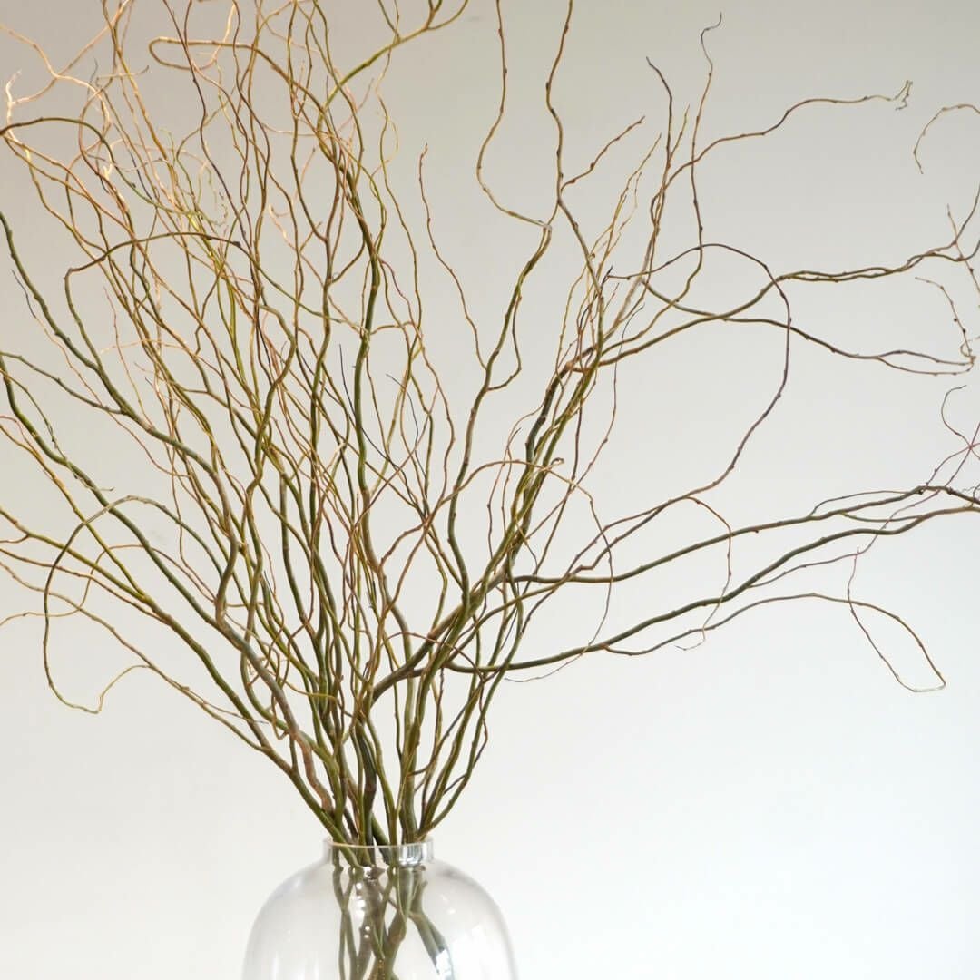 季節の枝もの定期便