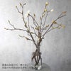 季節の枝もの定期便