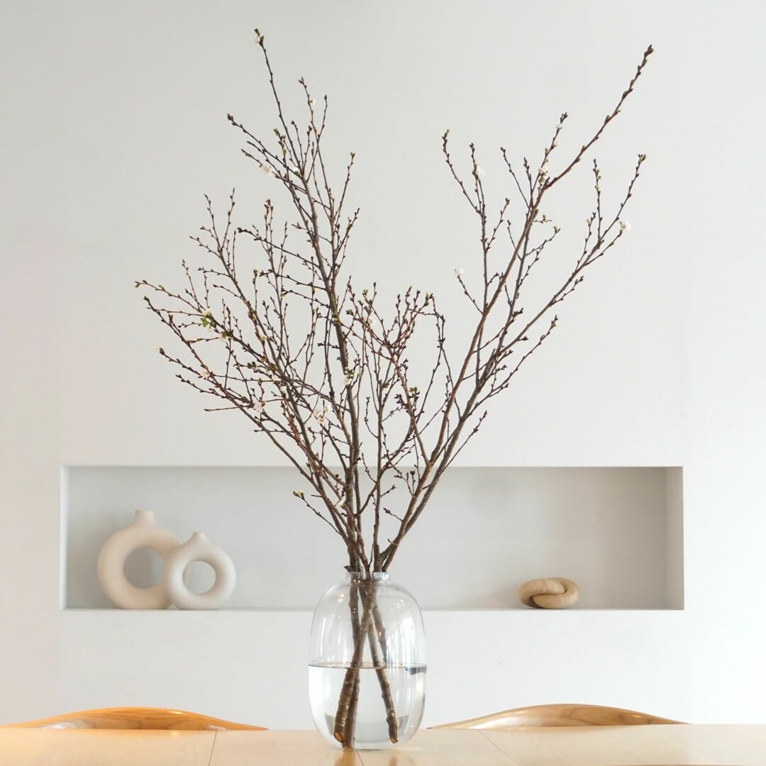 季節の枝もの定期便