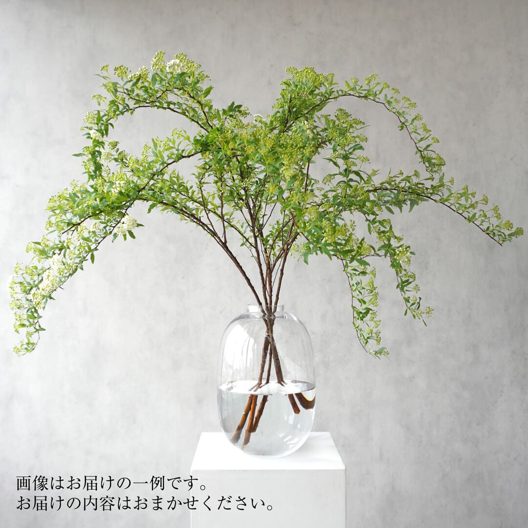 季節の枝もの定期便【ベーシックプラン（レギュラー）＜月1回コース