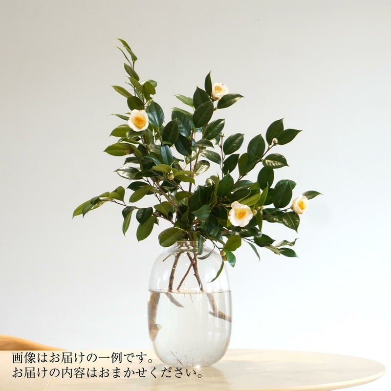 季節の枝もの定期便