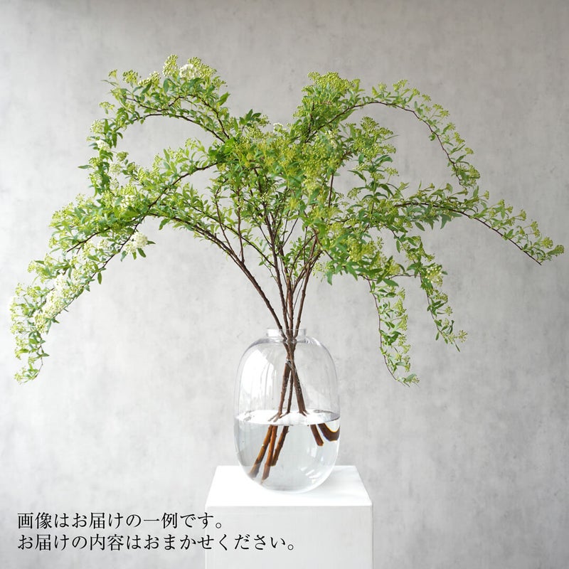 季節の枝もの定期便