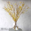 季節の枝もの定期便