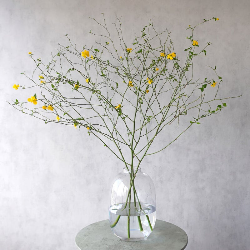 季節の枝もの定期便