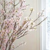 季節の枝もの定期便
