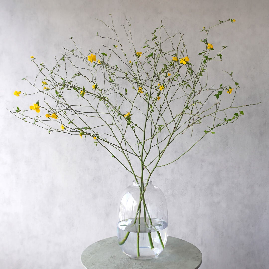 季節の枝もの定期便