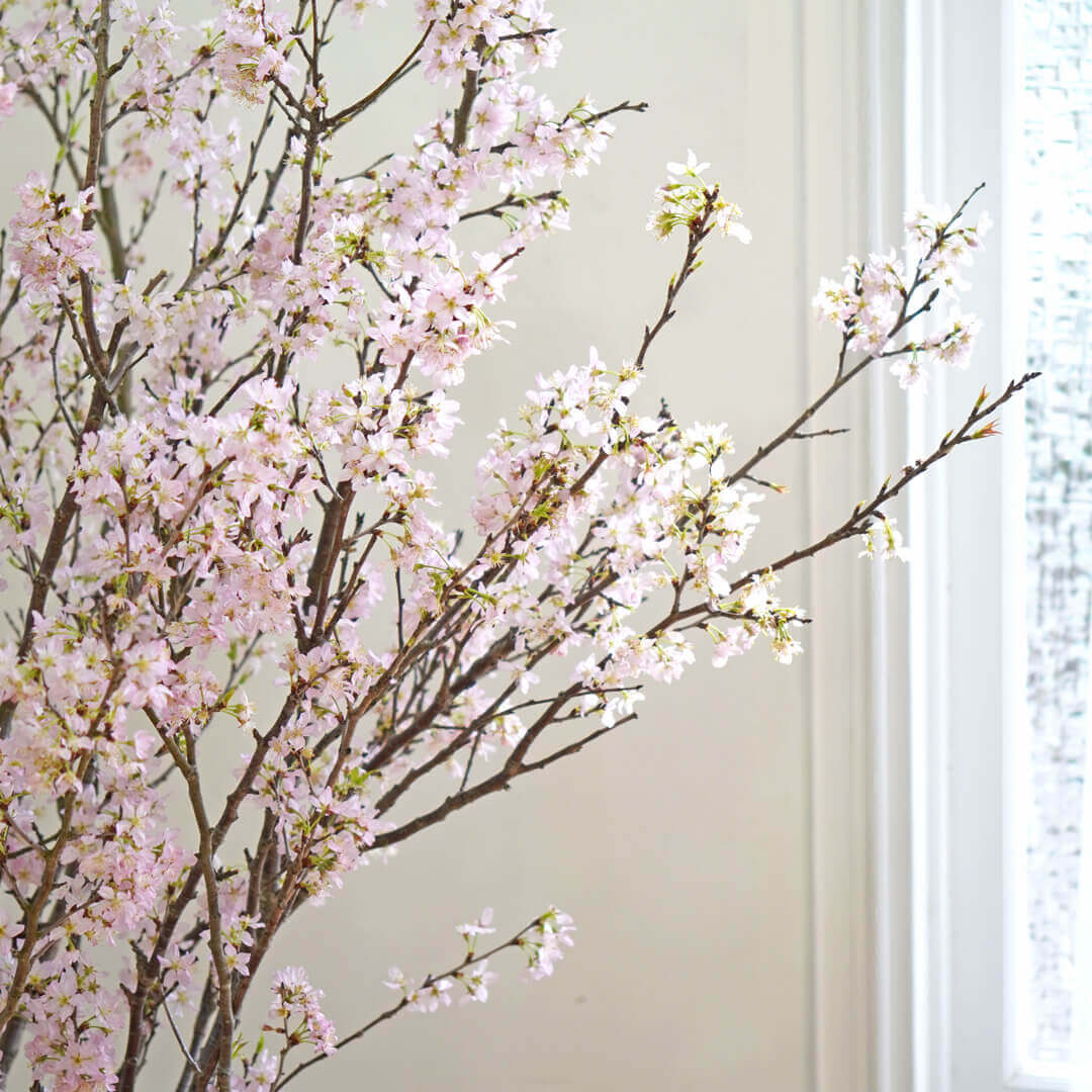 季節の枝もの定期便