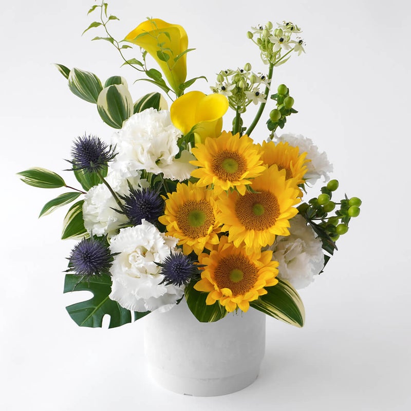 【父の日】ヒマワリと黄色いカラーのアレンジメント