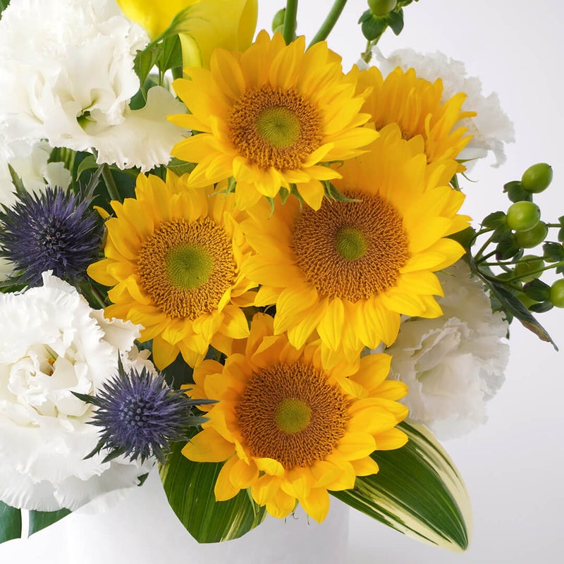 【父の日】ヒマワリと黄色いカラーのアレンジメント