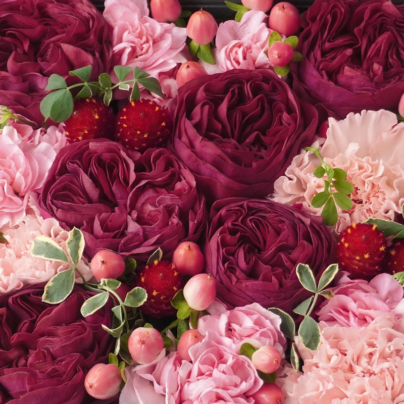 【母の日】ワインレッドの大輪バラとカーネーションのボックスアレンジメント