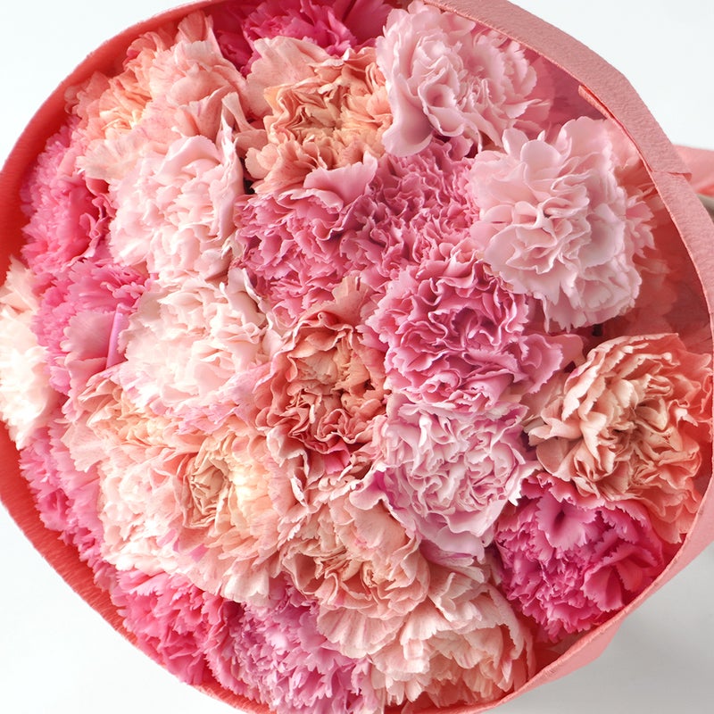 【母の日】ピンクの濃淡が華やかなラウンドスタイルのカーネーションブーケ