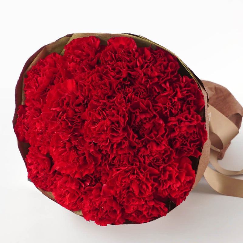 【母の日】赤い大輪カーネーションの花束