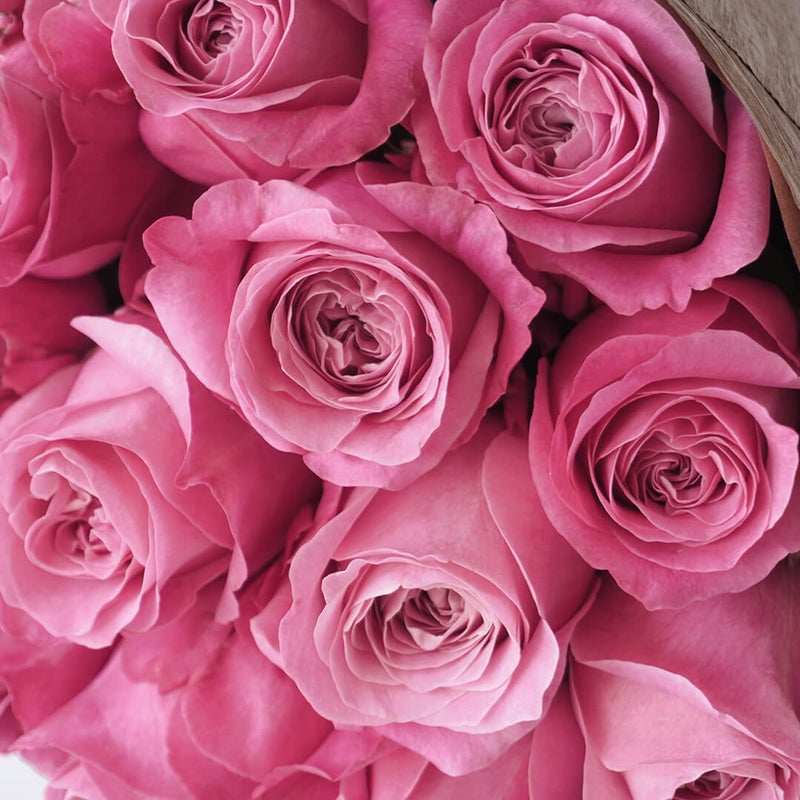 【母の日】鮮やかなピンクバラの花束