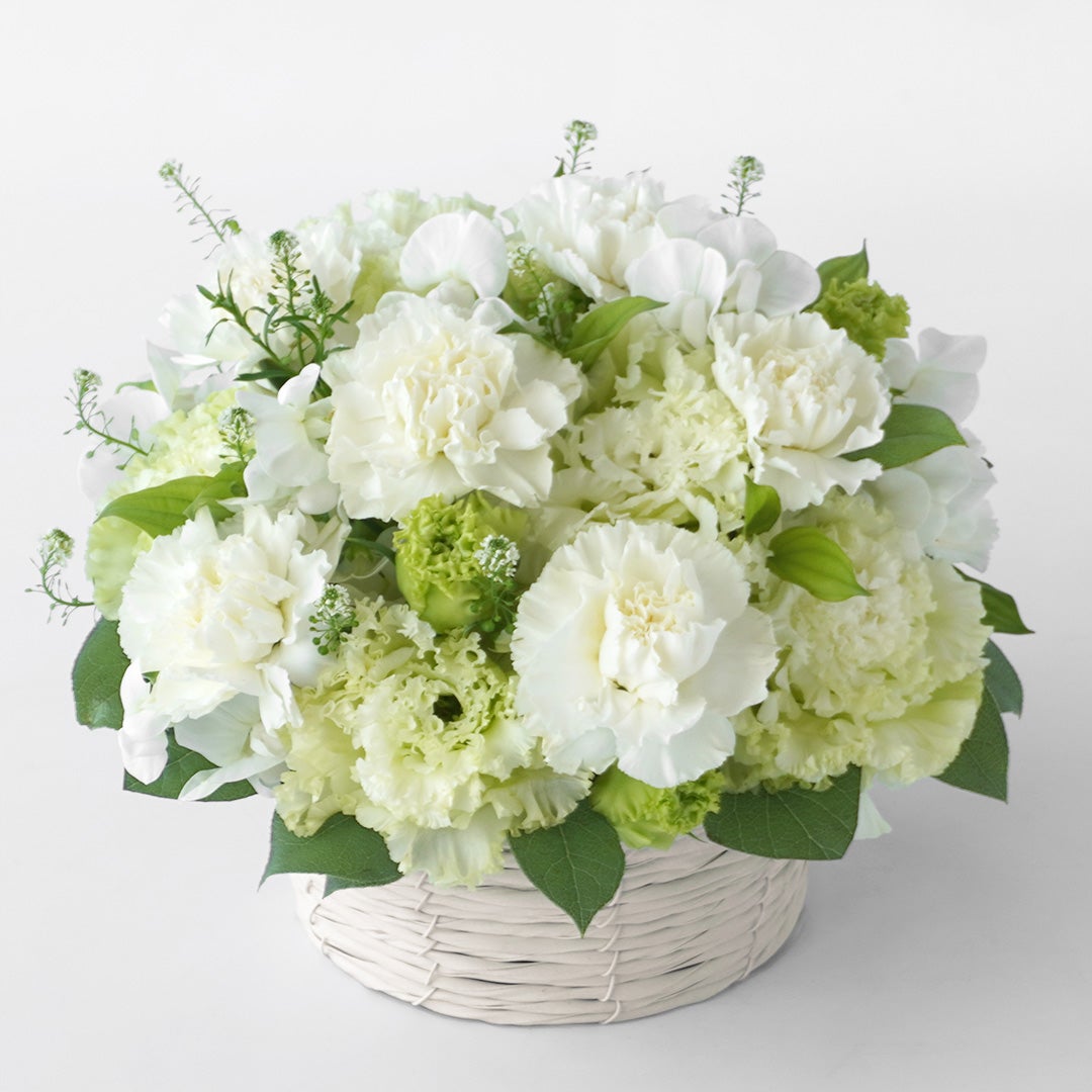 【母の日・お供え】白いカーネーションと淡いグリーンのトルコキキョウのお供えアレンジメント