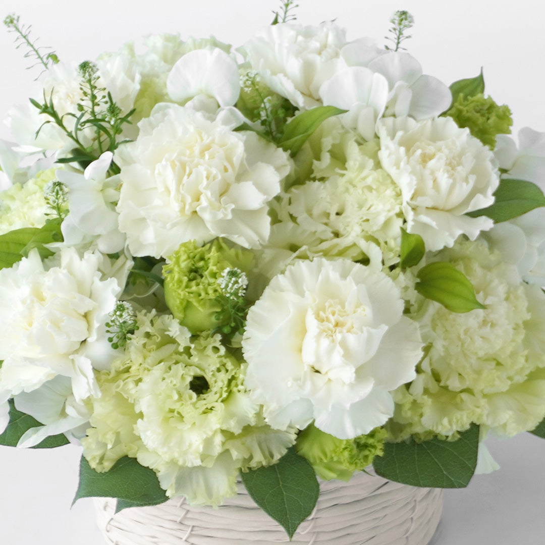 【母の日・お供え】白いカーネーションと淡いグリーンのトルコキキョウのお供えアレンジメント