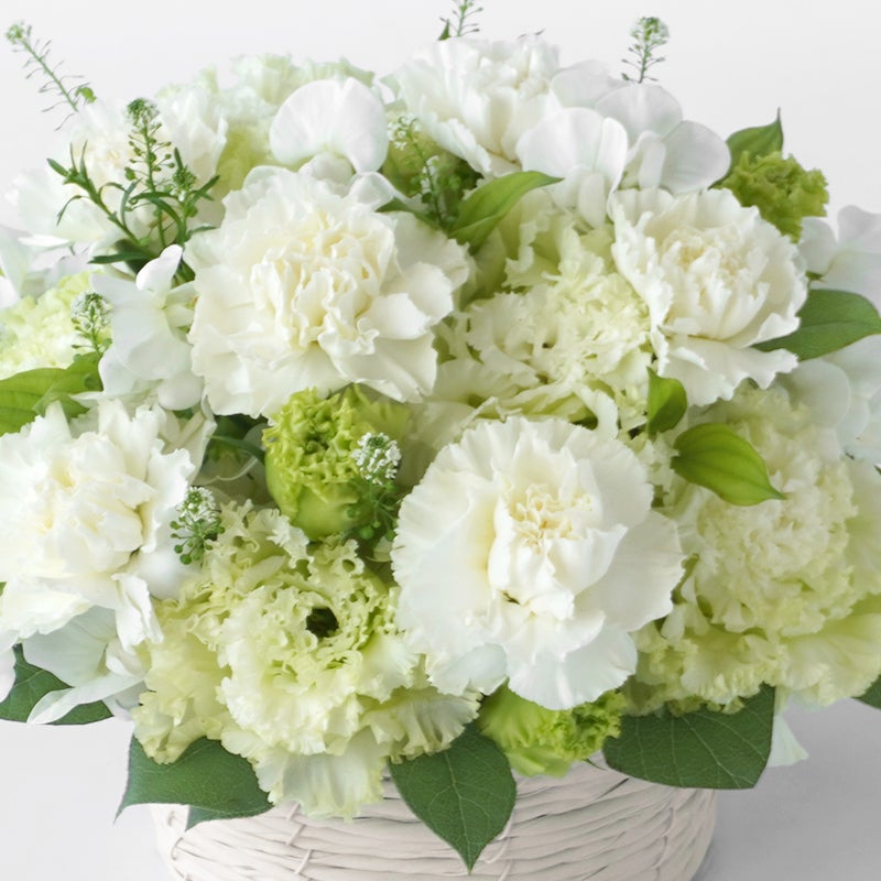 【母の日・お供え】白いカーネーションと淡いグリーンのトルコキキョウのお供えアレンジメント