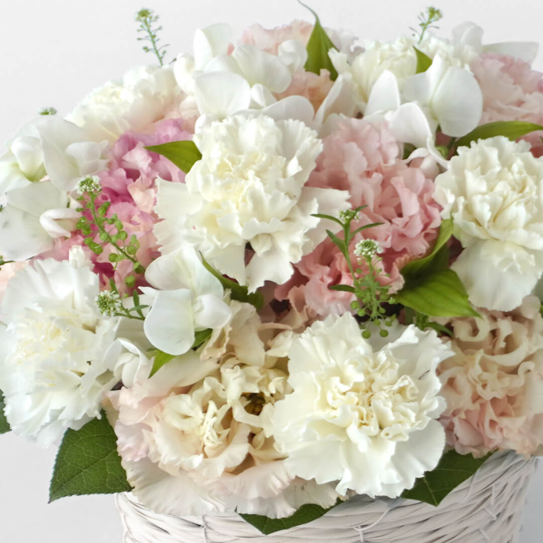 【母の日・お供え】白いカーネーションと淡いピンクのトルコキキョウのお供えアレンジメント