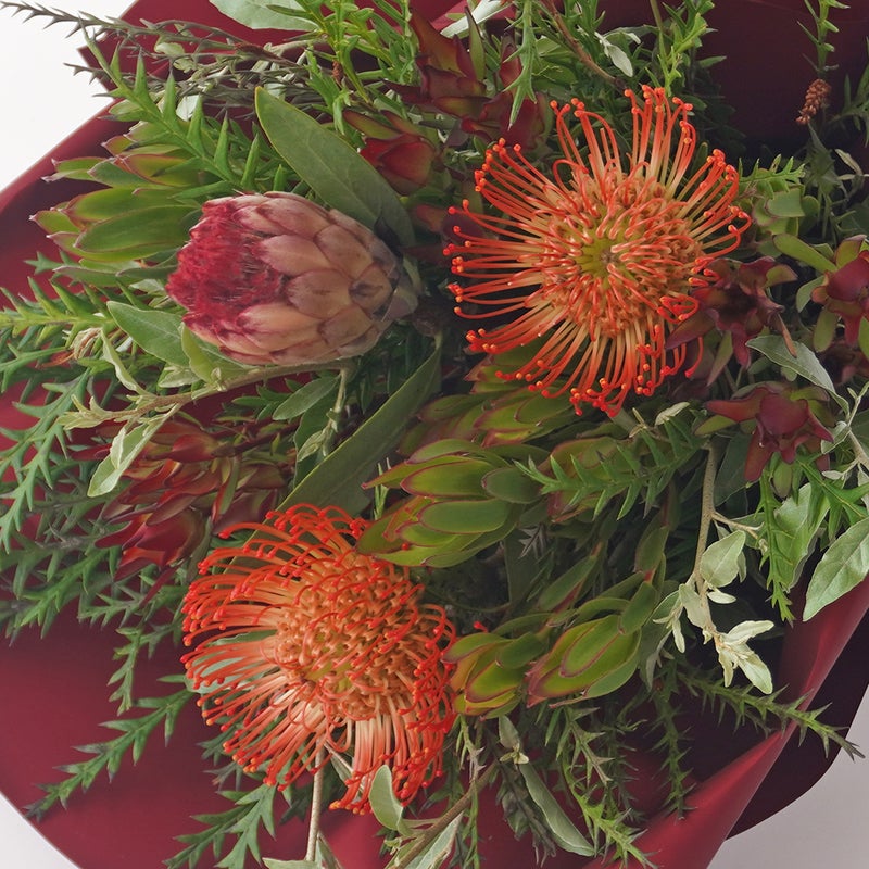 ピンクッションとプロテアの花束