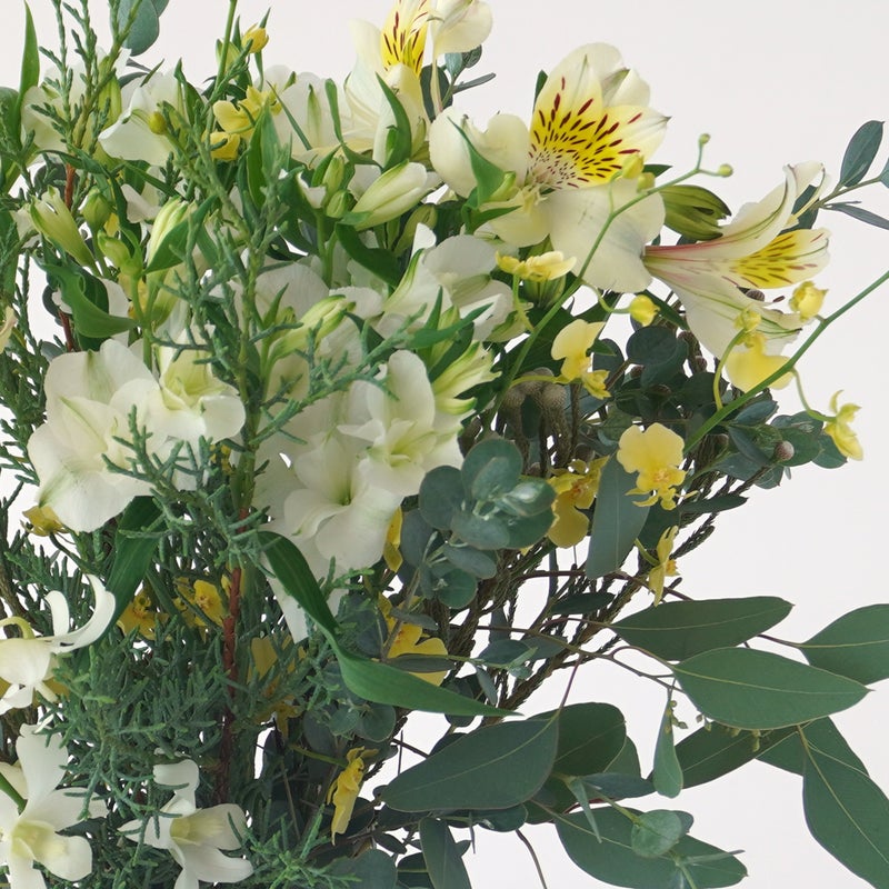 【クリスマス】白や淡い黄色の花々に、季節感のあるリーフを合わせた花束