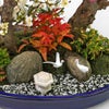 【お正月・お年賀】紅白梅盆栽（大）