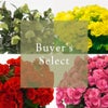 花のある暮らし 毎月届く鉢植えの花 1月： バイヤーズセレクト